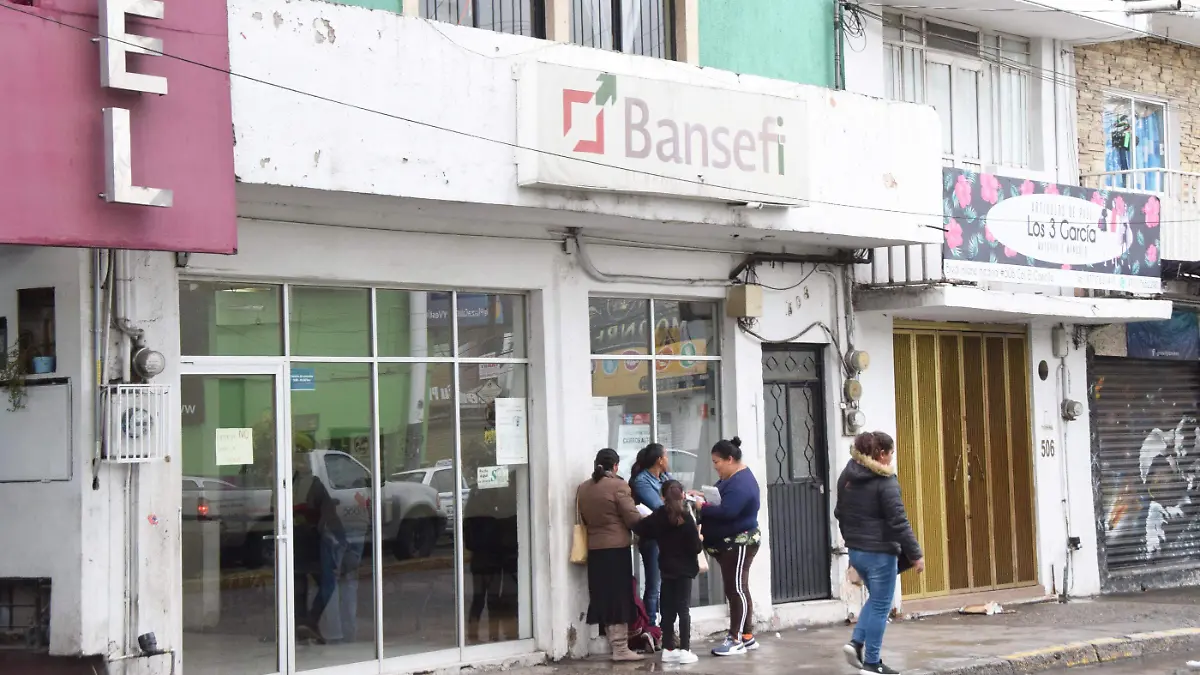 bansefi (6) (1)